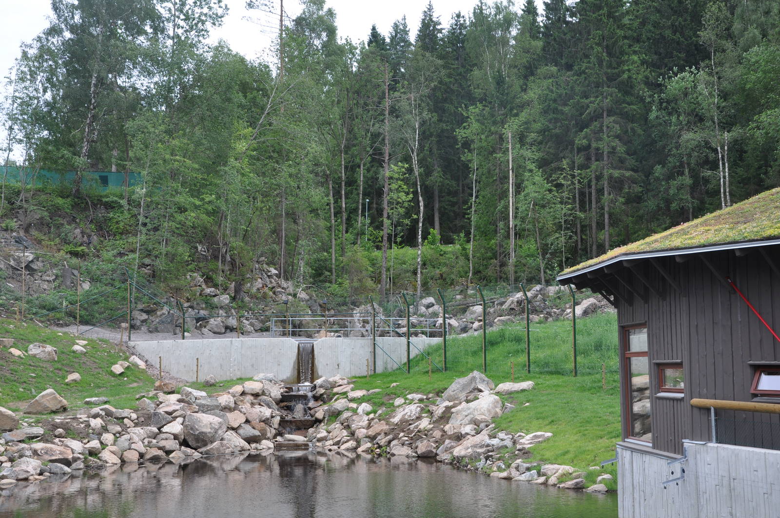New brown bear exhibit -Borås Zoo