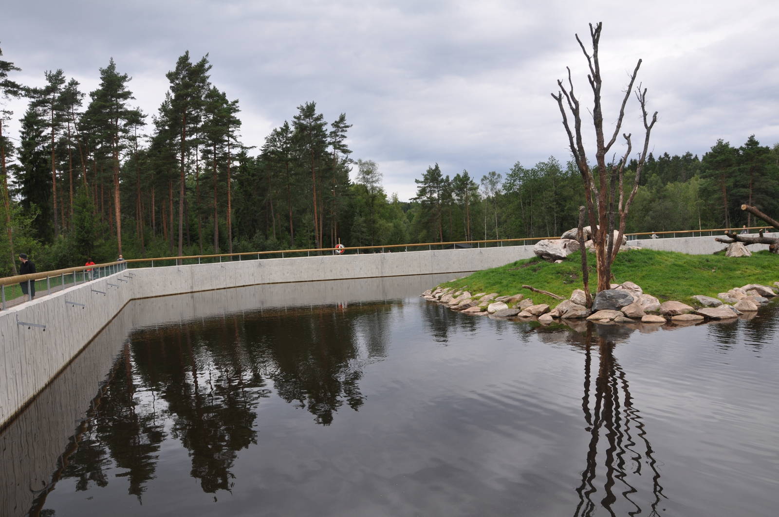 New brown bear exhibit -Borås Zoo