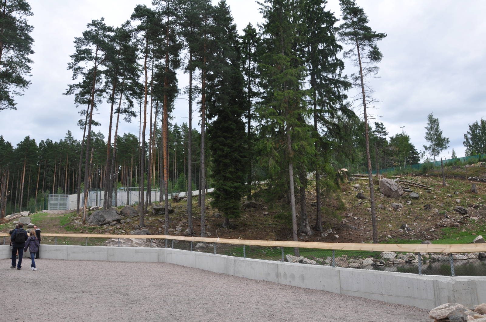 New brown bear exhibit -Borås Zoo