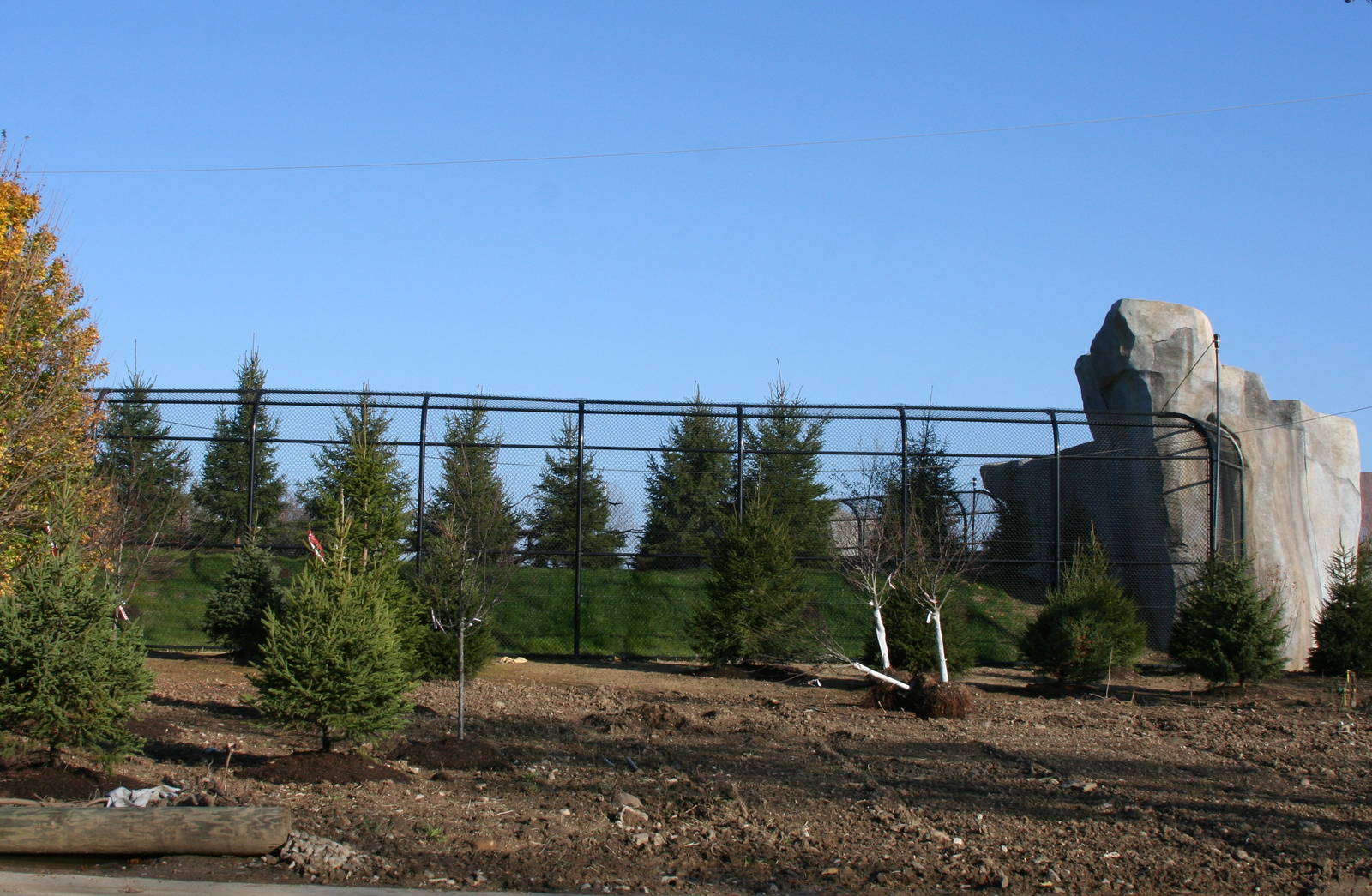 New Brown Bear Exhibit from Train