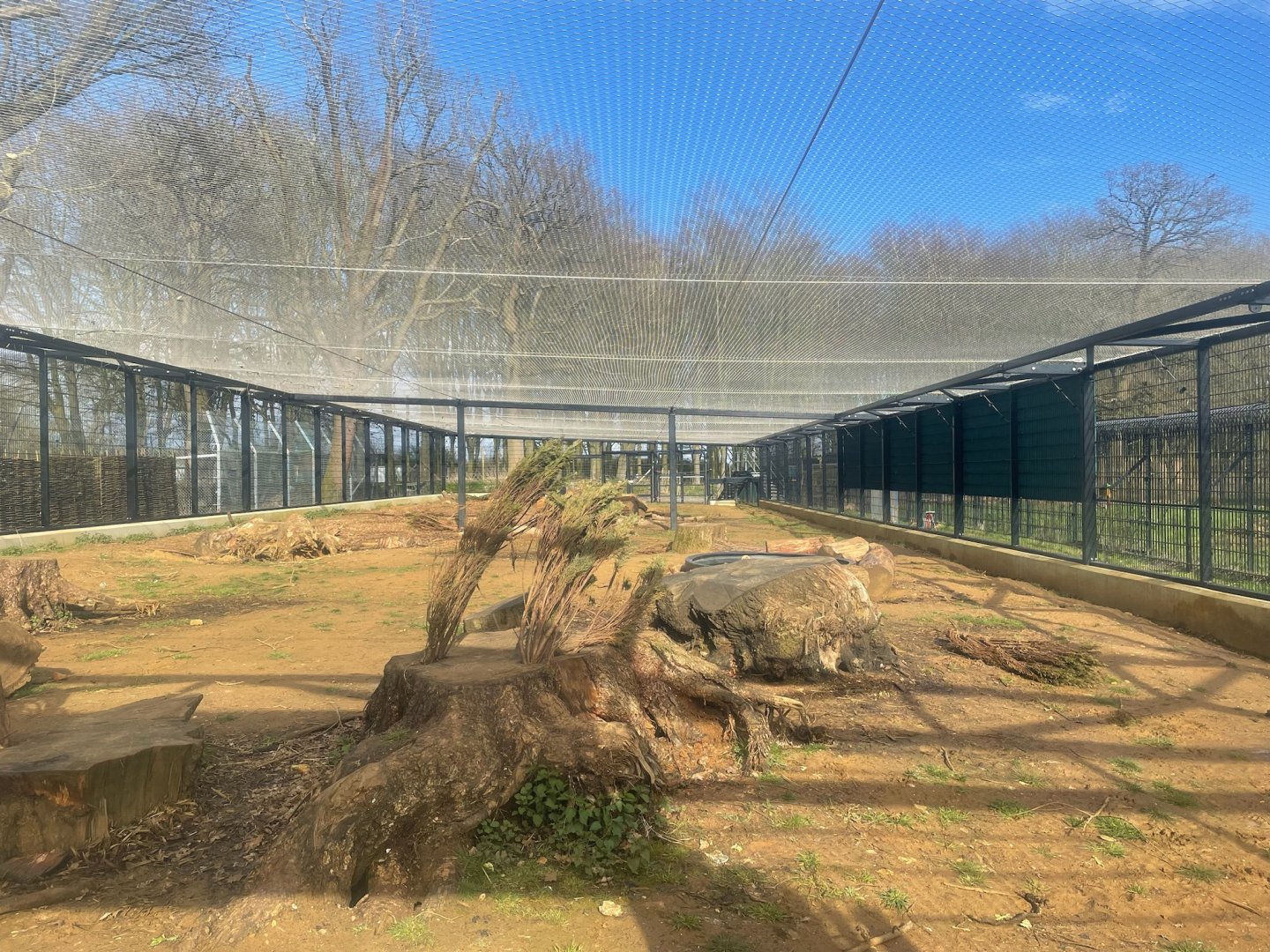 New Brown Bear Structure