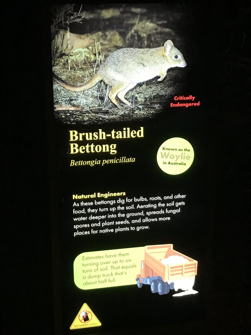 New Brush-tailed Bettong Signage