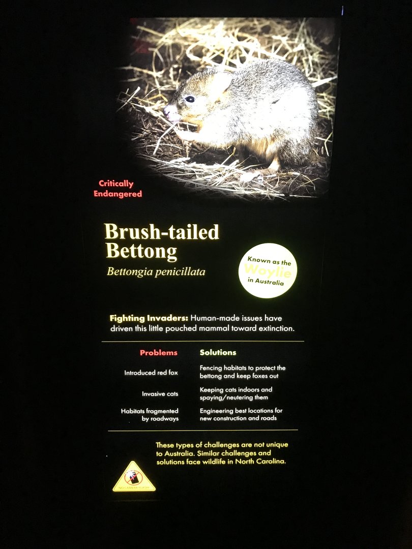 New Brush-tailed Bettong Signage