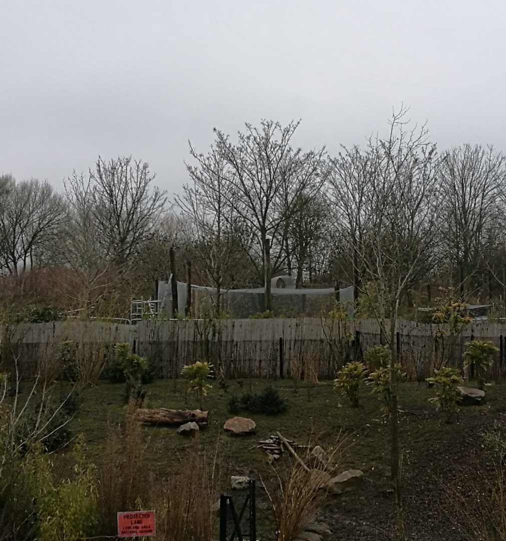 New build in Islands