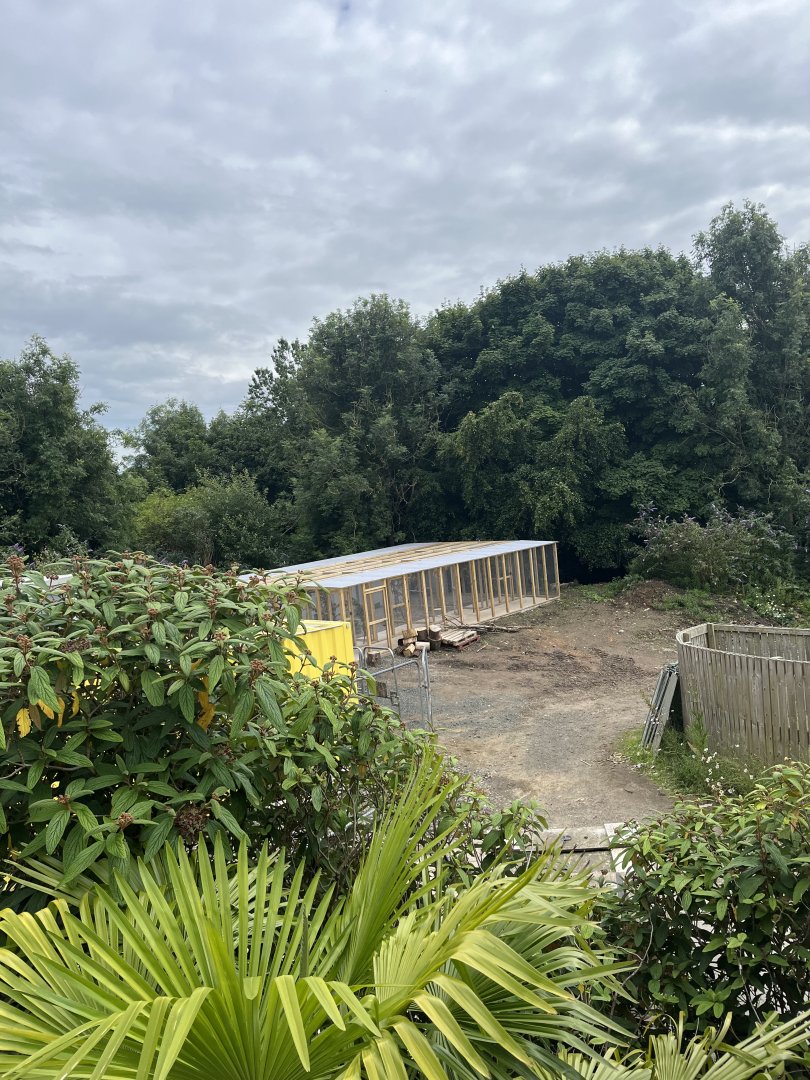 New building in animal antics 22.7.24