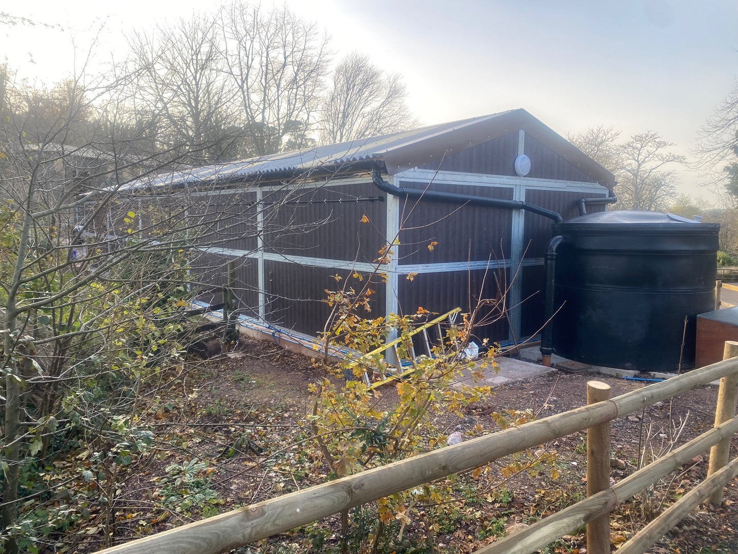 New building where peccaries used to live 161222