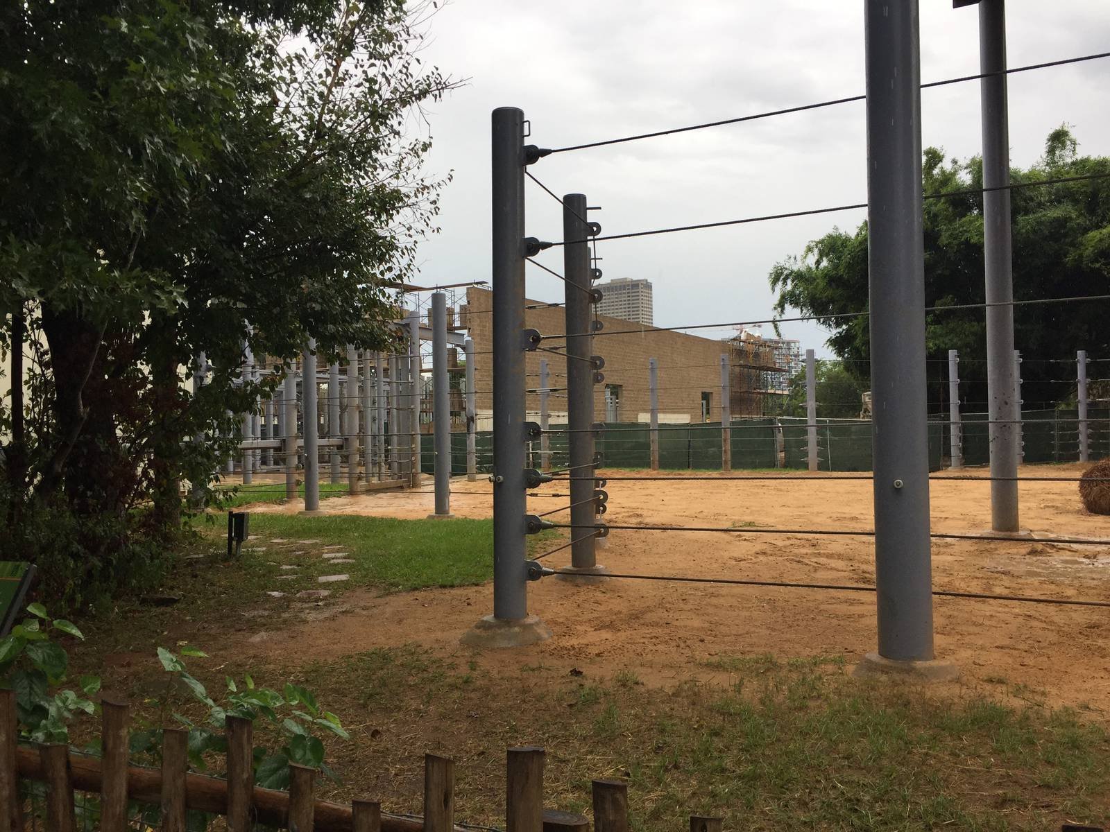 New Bull elephant Yard renderings and construction