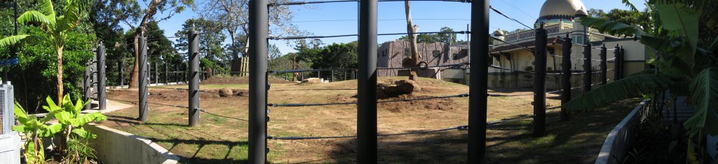 New Bull Elephant yard