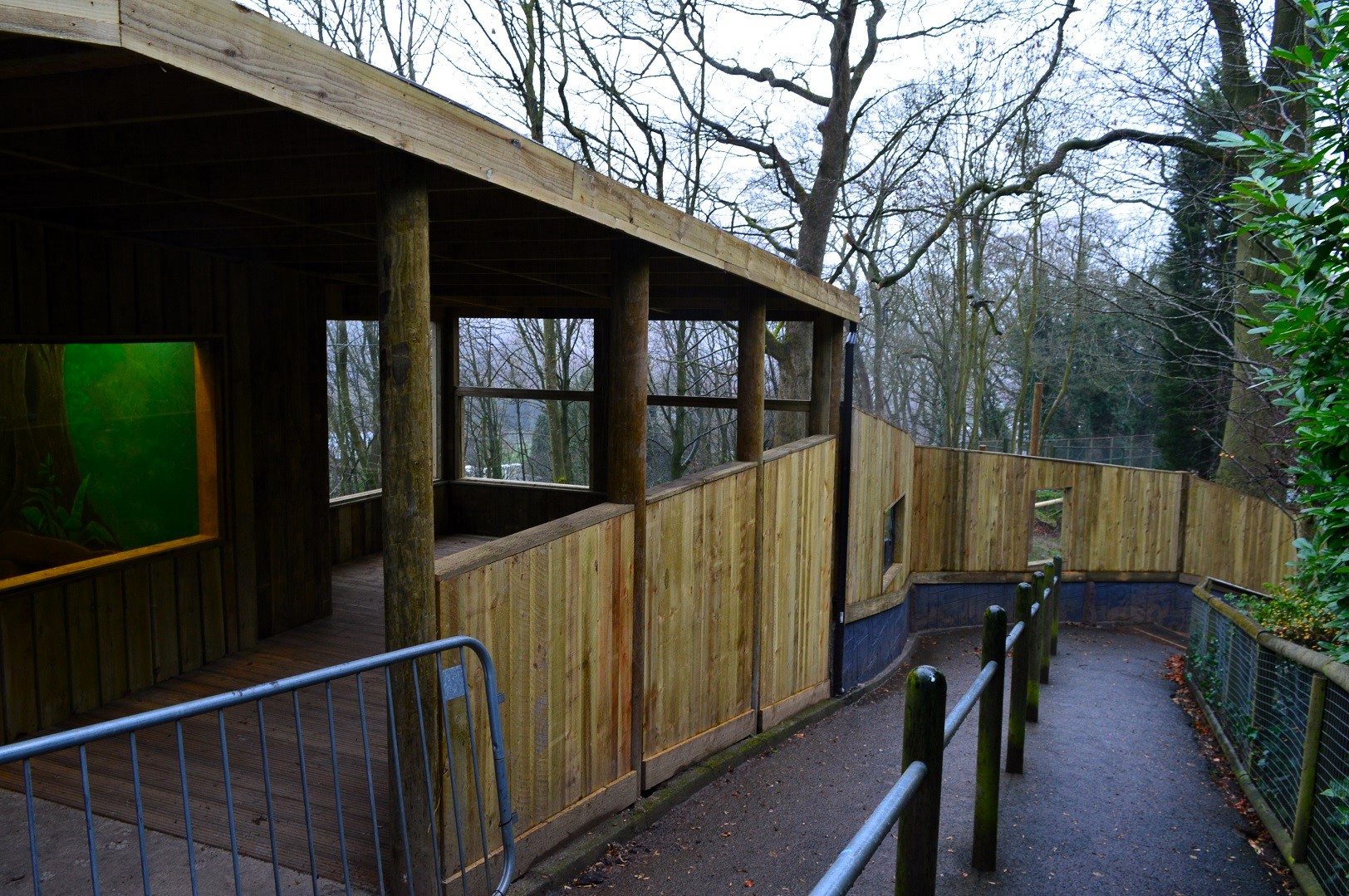 New bush dog enclosure viewing platform.