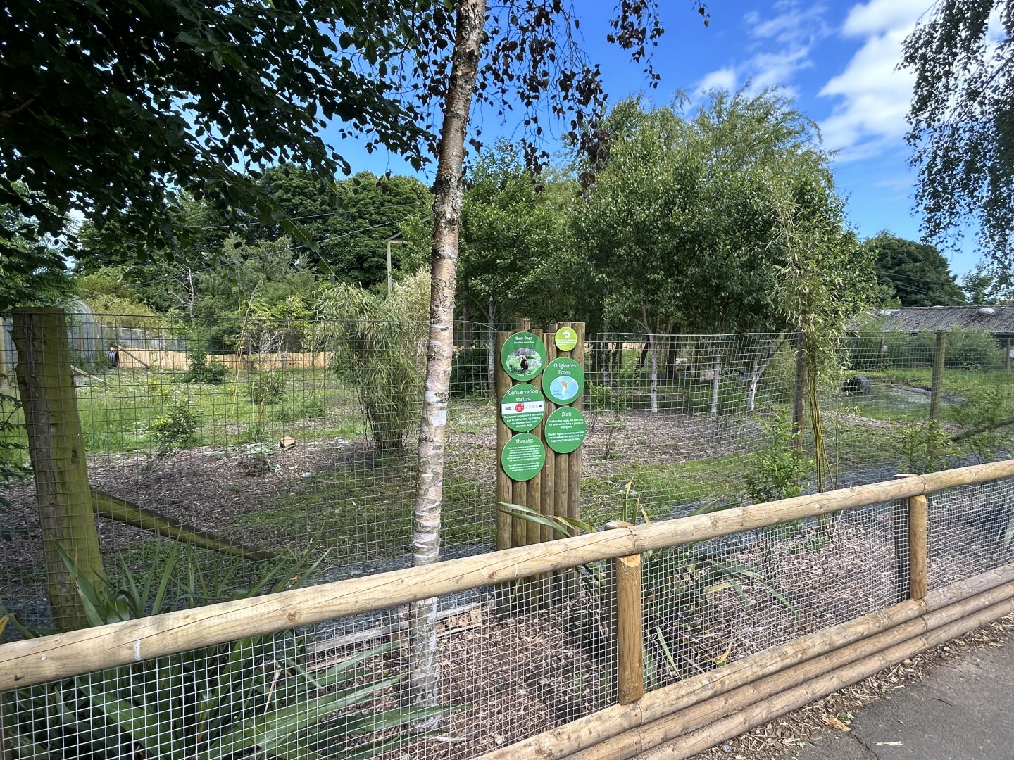 New Bush Dog Enclosure