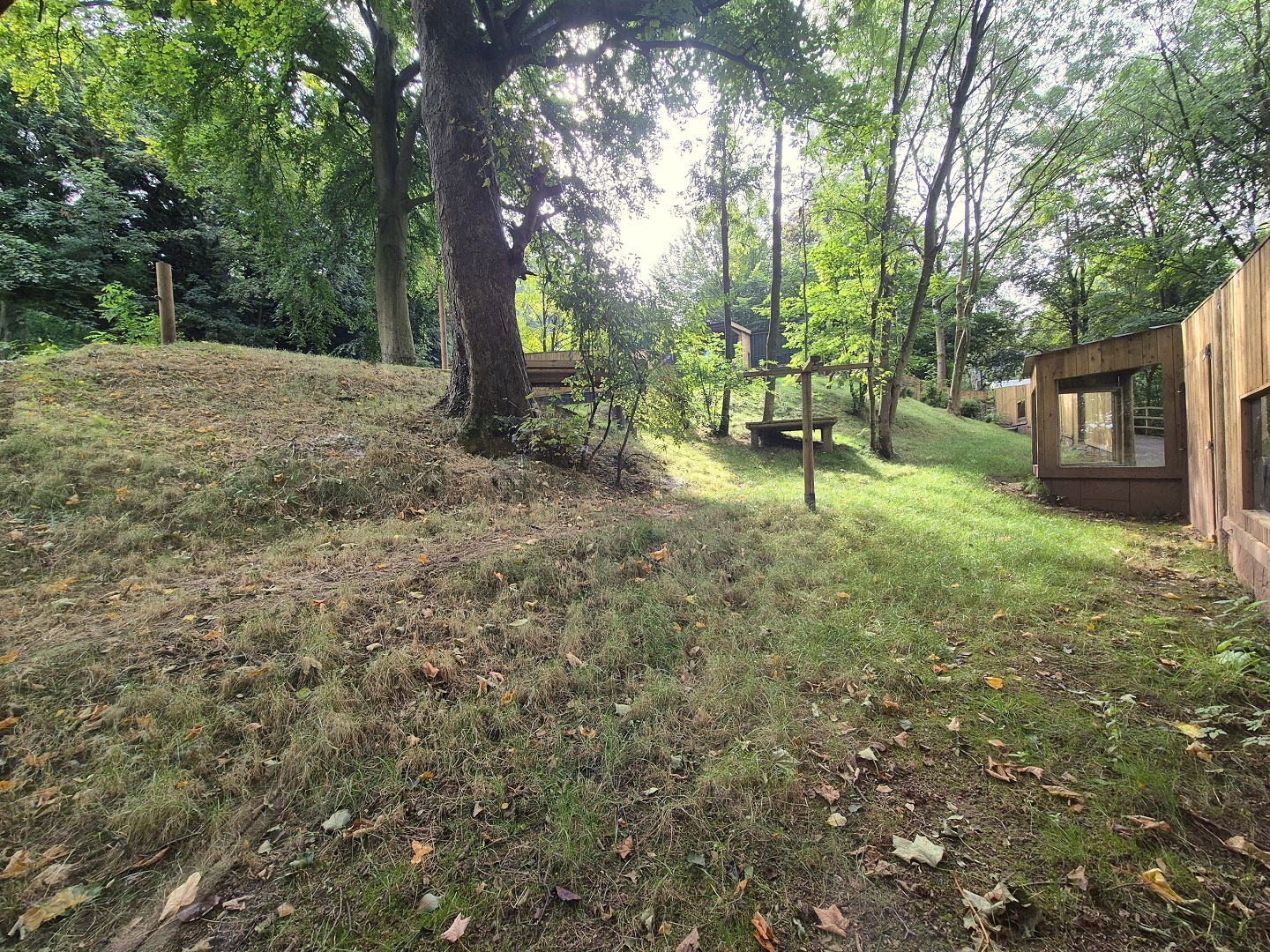 New bush dog exhibit
