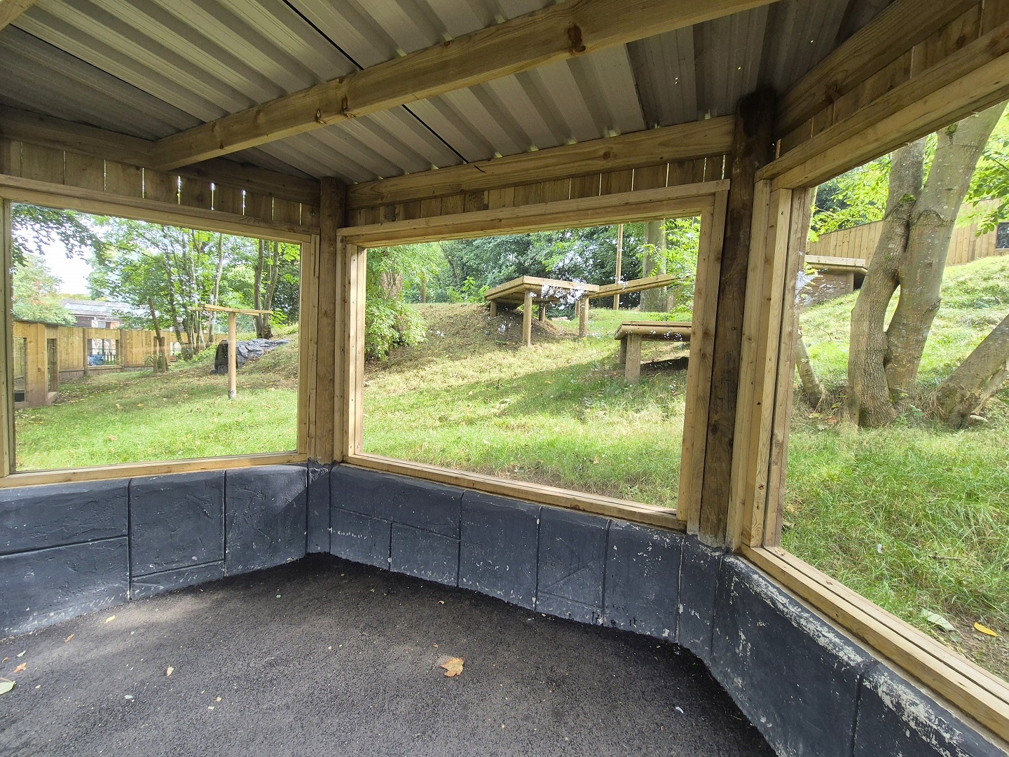 New bush dog exhibit