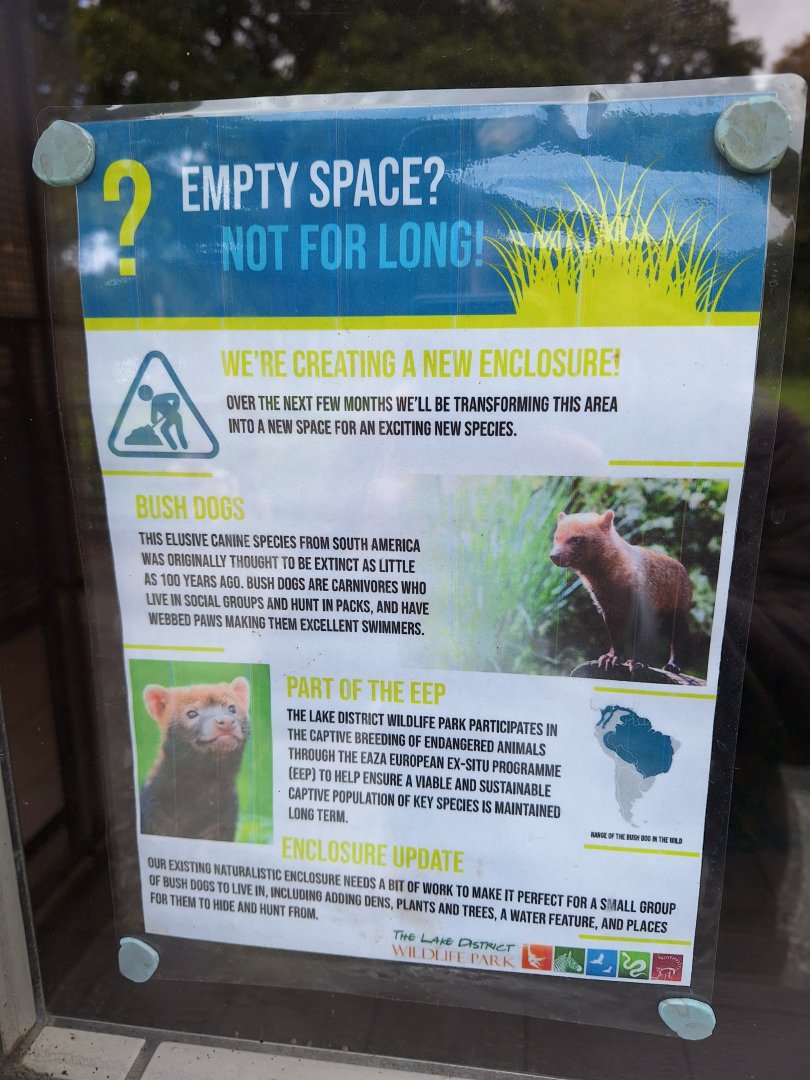 New Bush Dogs coming soon signs