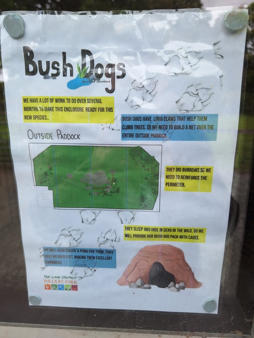 New Bush Dogs coming soon signs