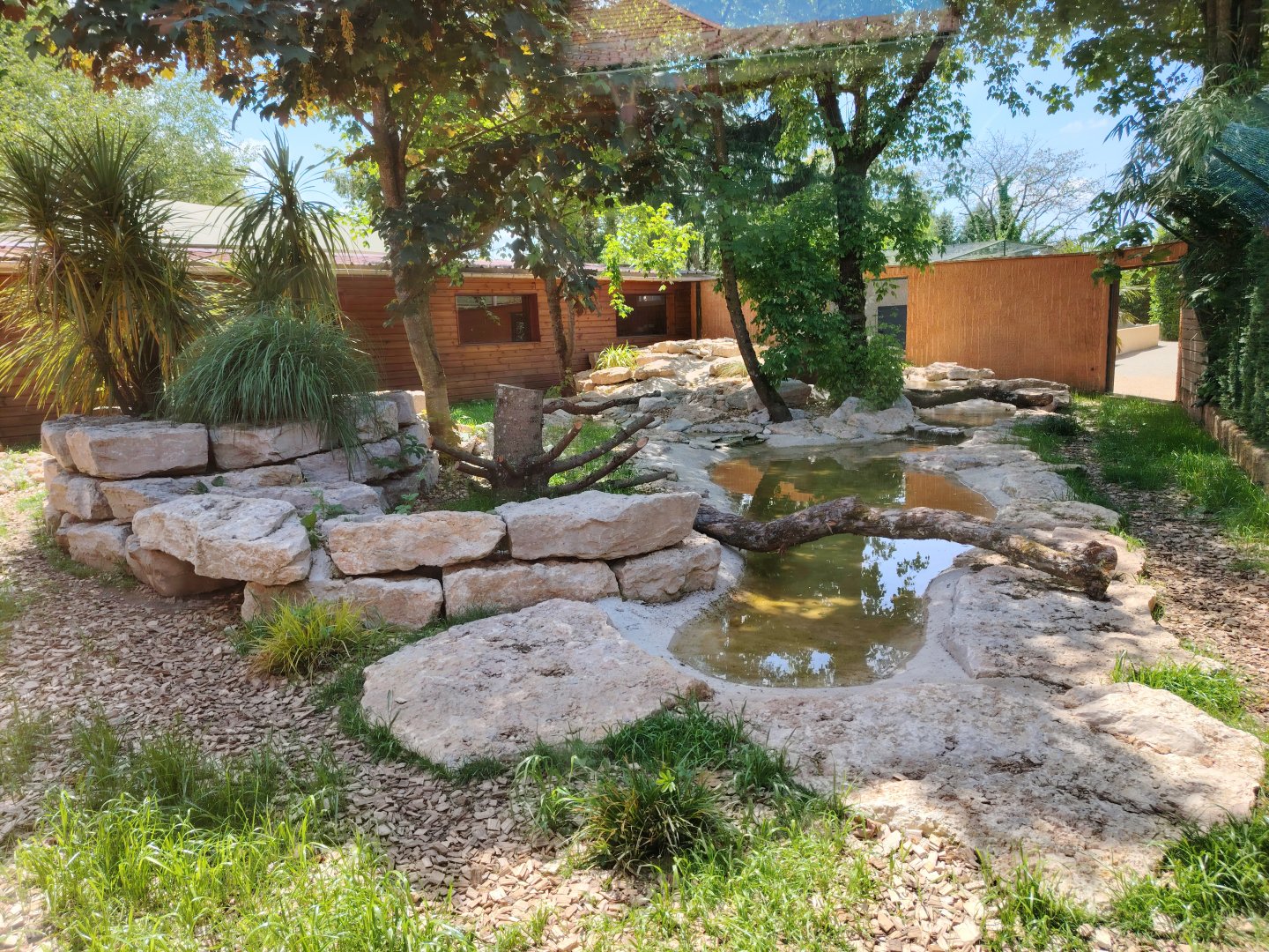 New Bush Dogs Exhibit