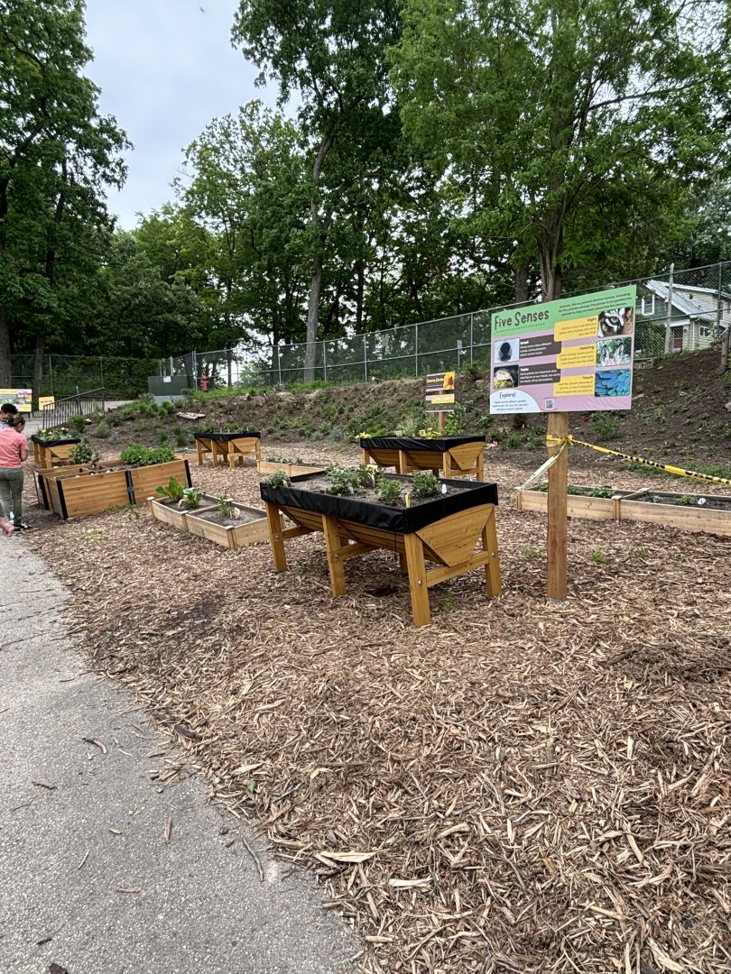 NEW Butterfly Garden Display