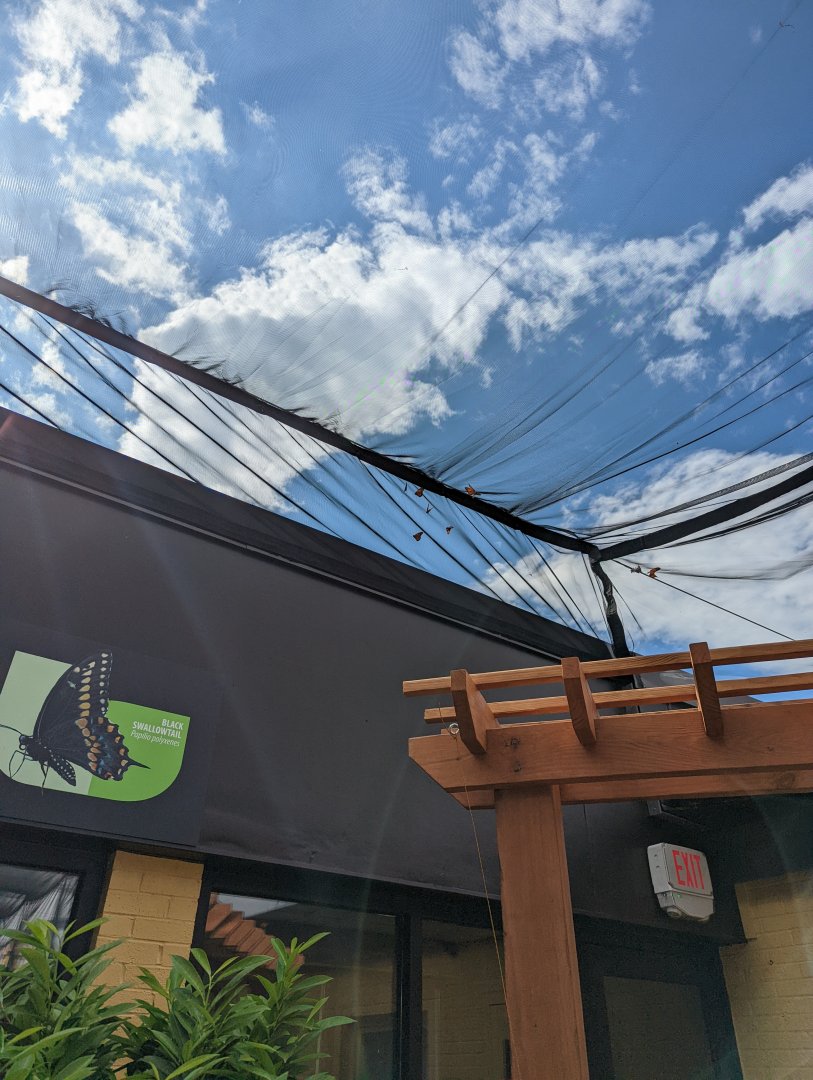 New butterfly house at the Greensboro Science Center