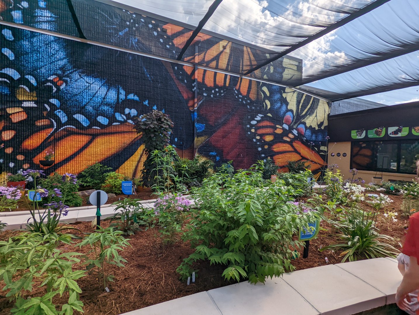 New butterfly house