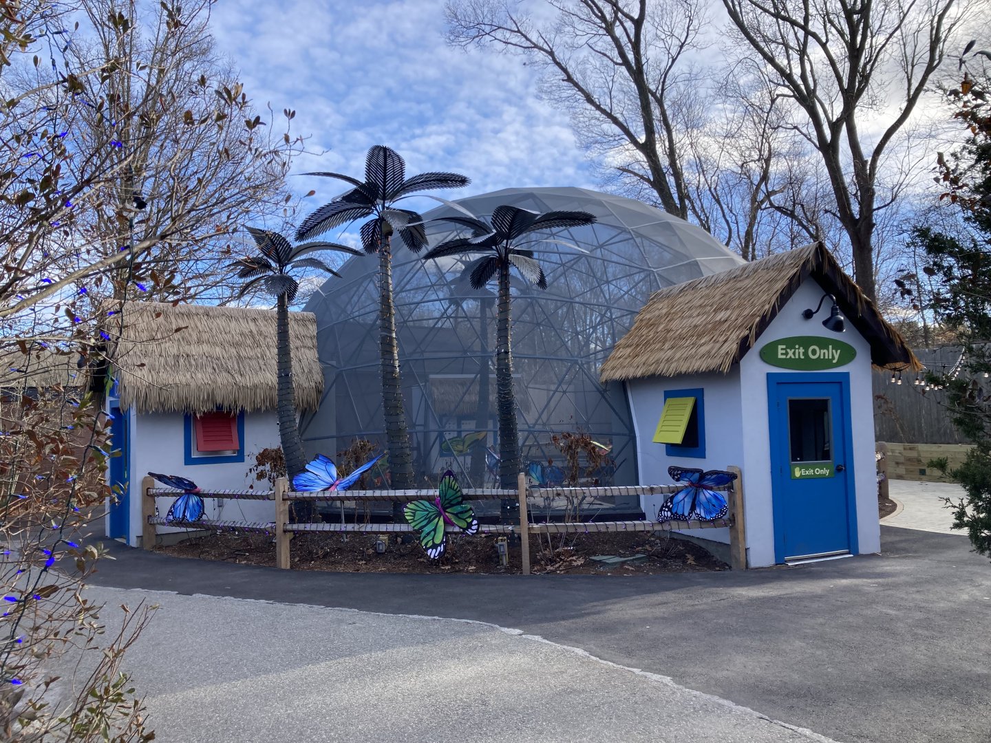 New butterfly walkthrough