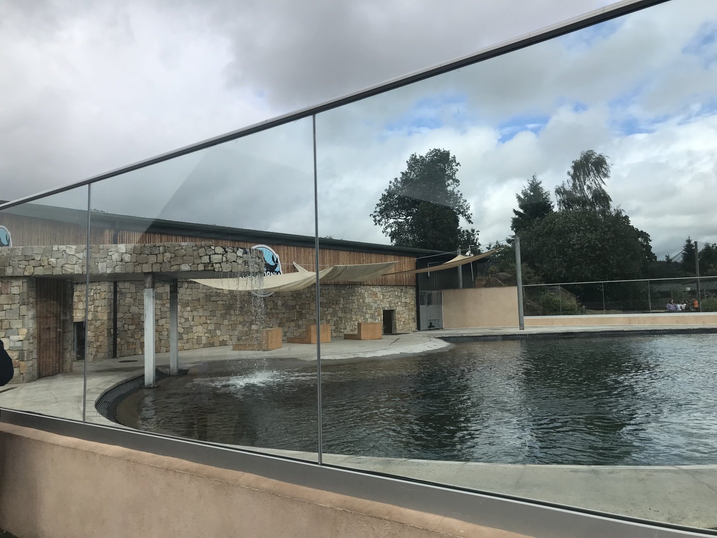 New calafornian sea lion enclosure (2)