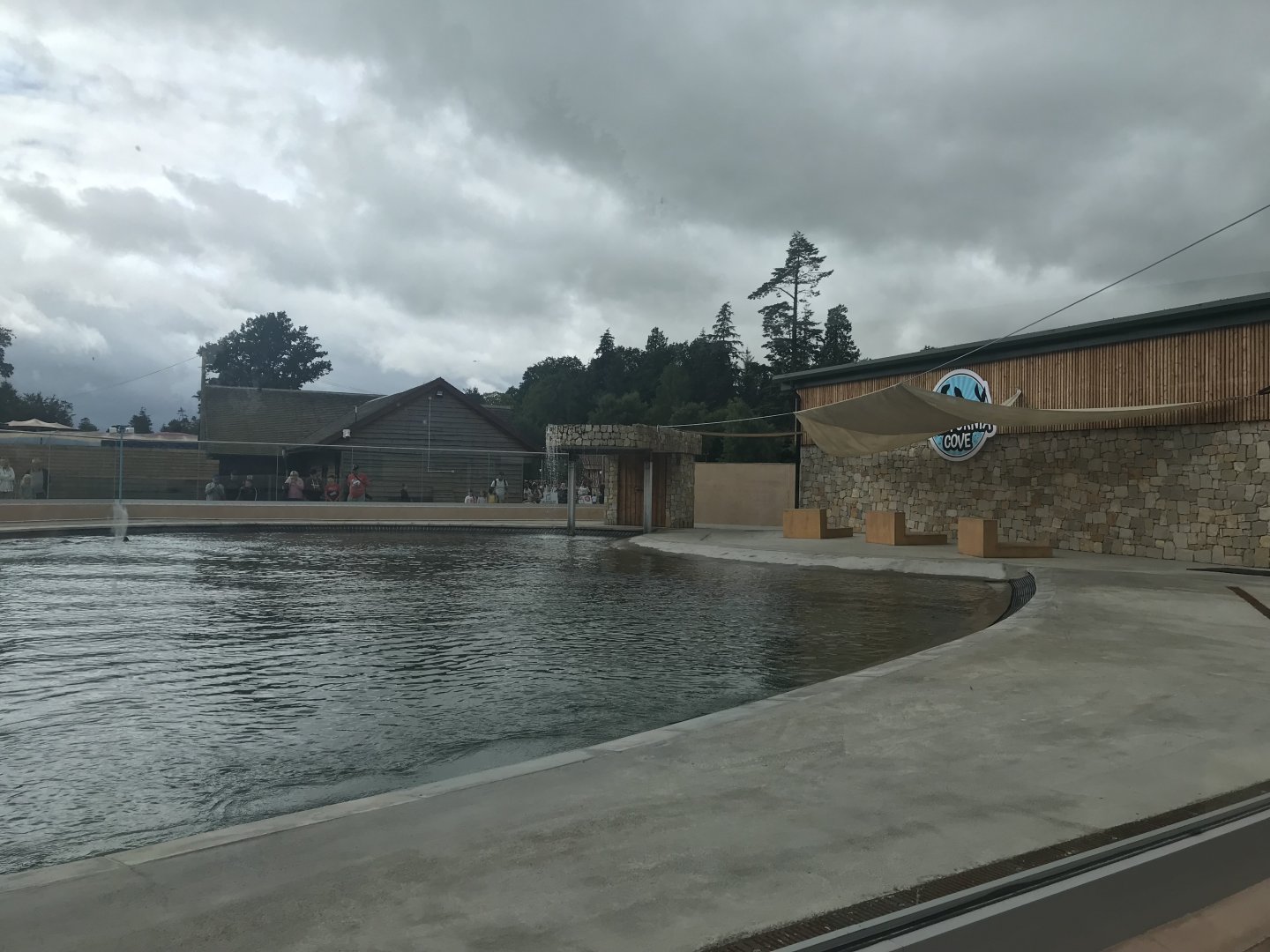 New calafornian sea lion enclosure (3)
