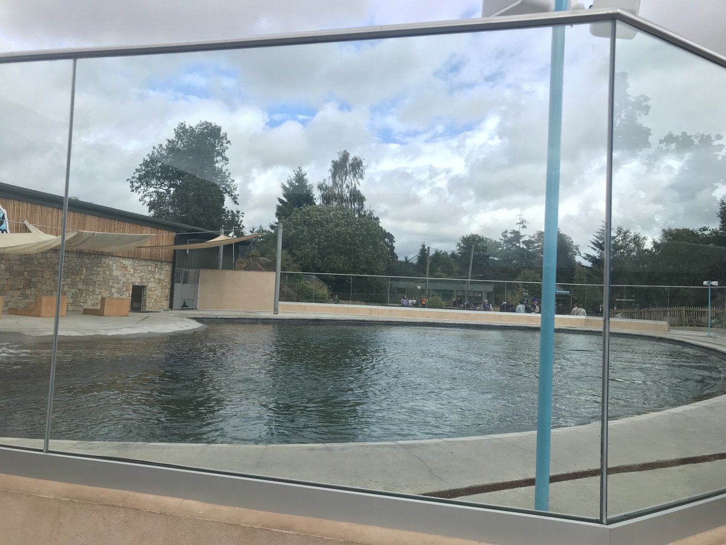 New calafornian sea lion enclosure