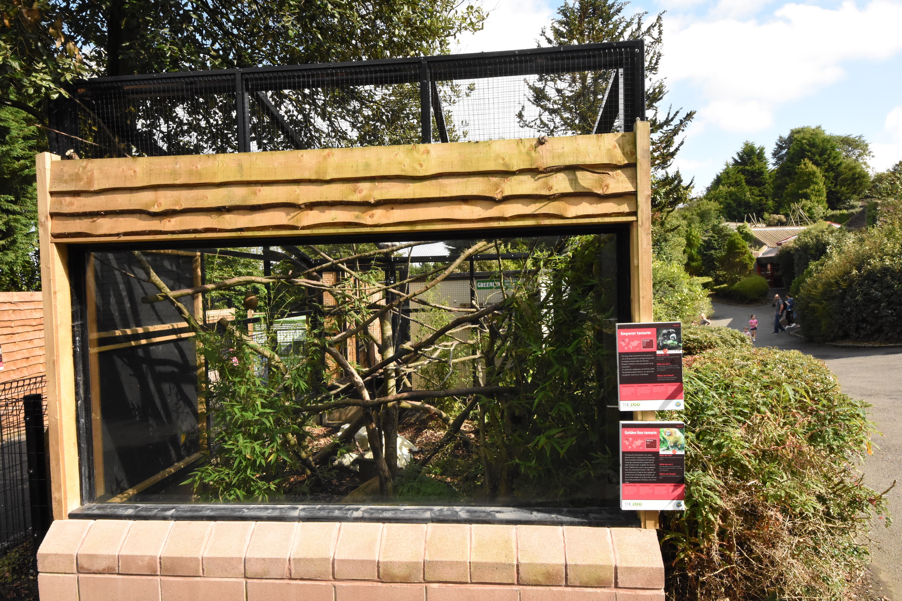 new Callichtrid enclosure