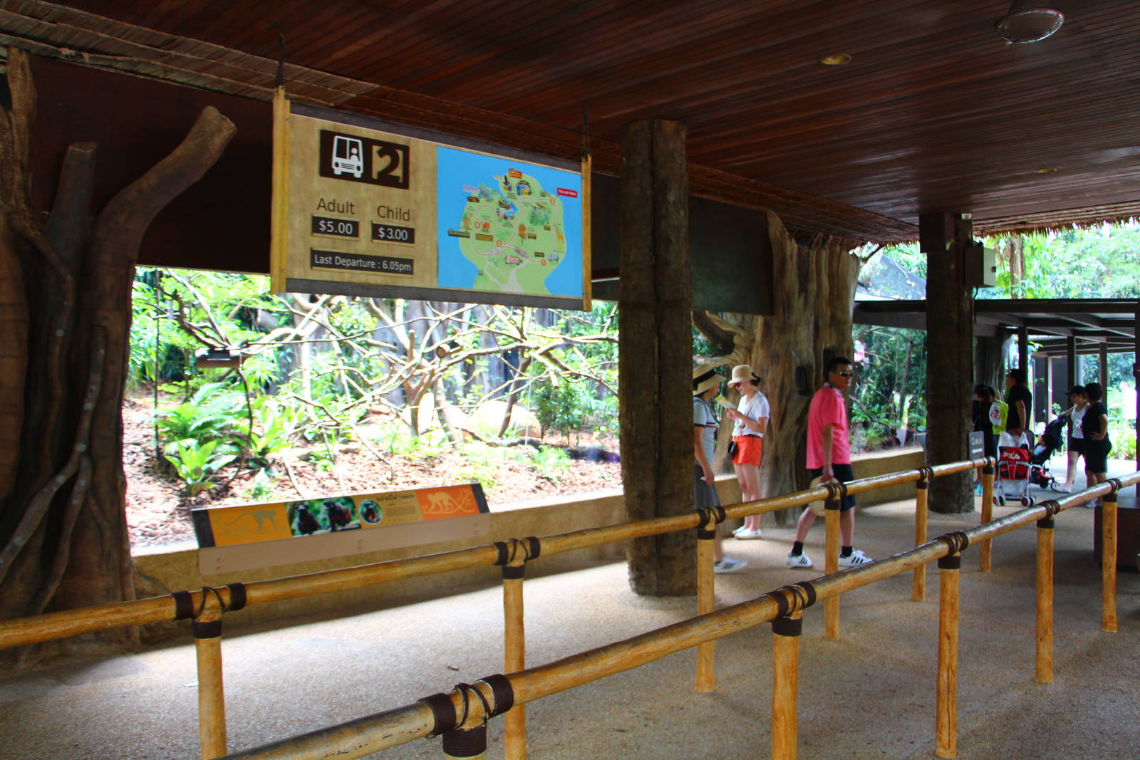 New Callitrichids exhibit