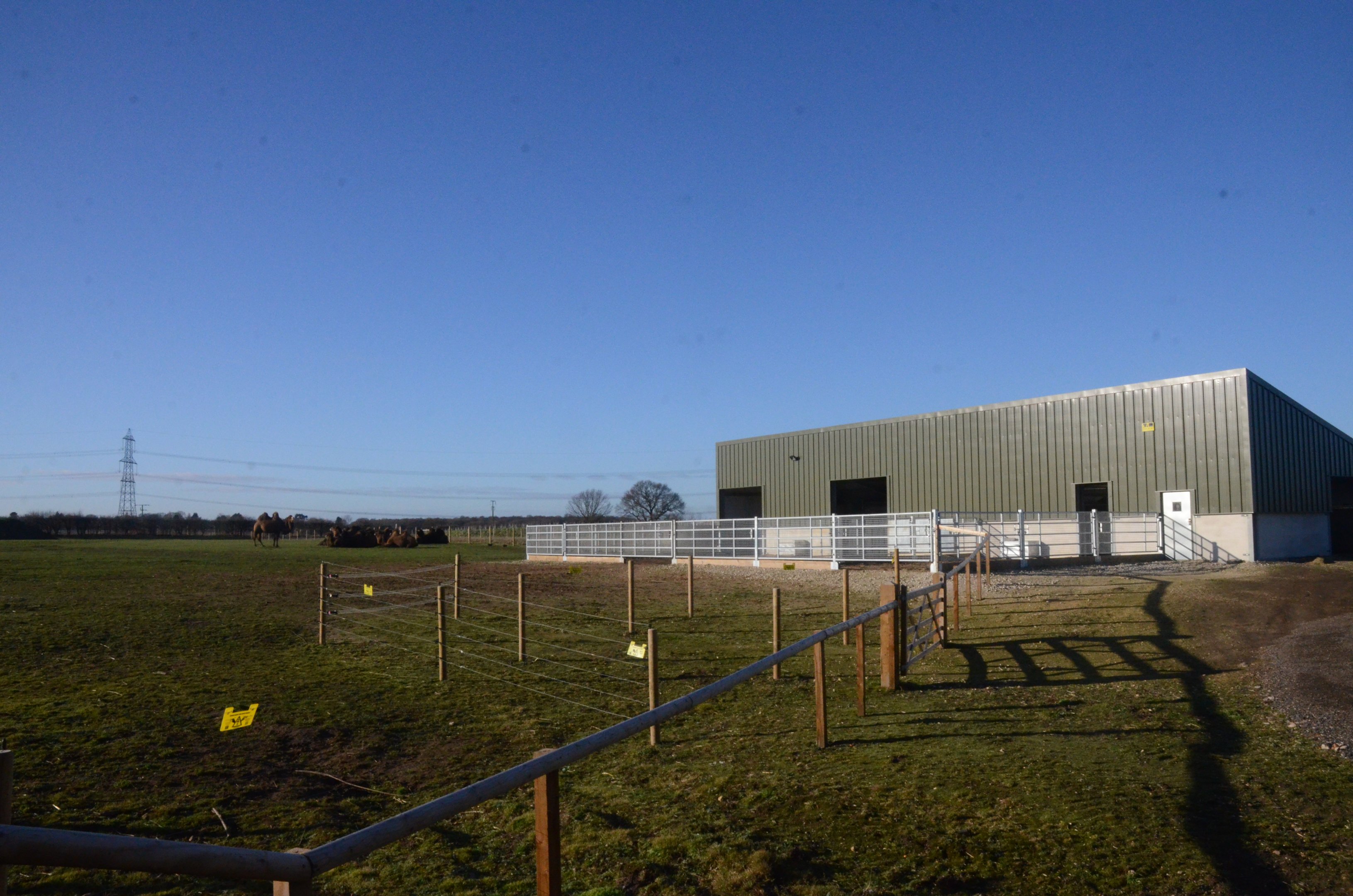New Camel Paddock at Yorkshire WP, 14/01/17