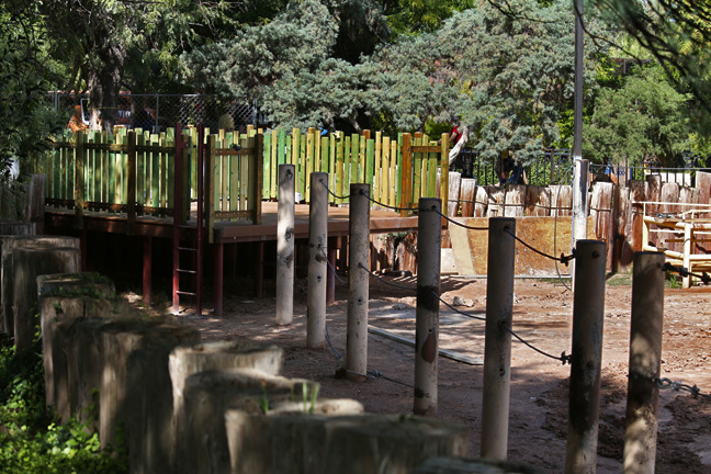 new camel ride platform