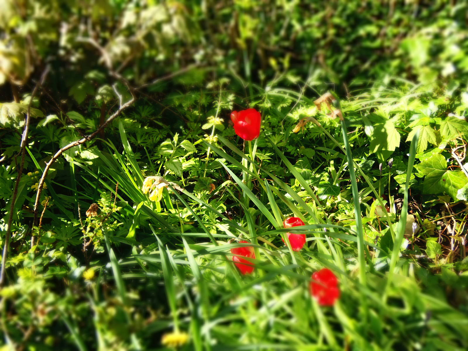 New camera test uploads