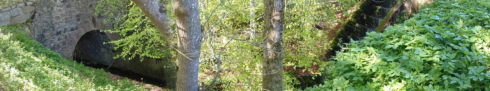 New camera test uploads