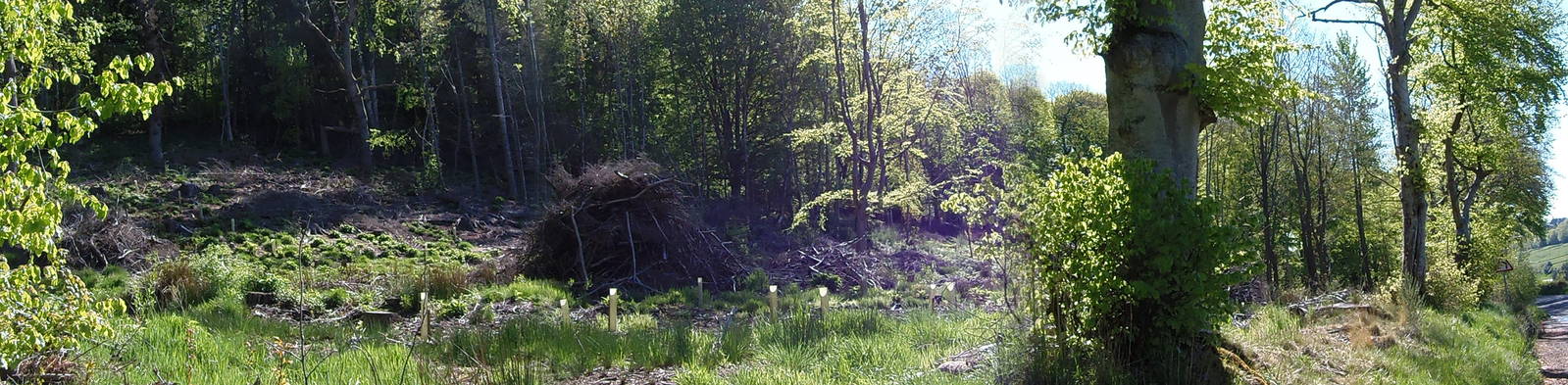 New camera test uploads