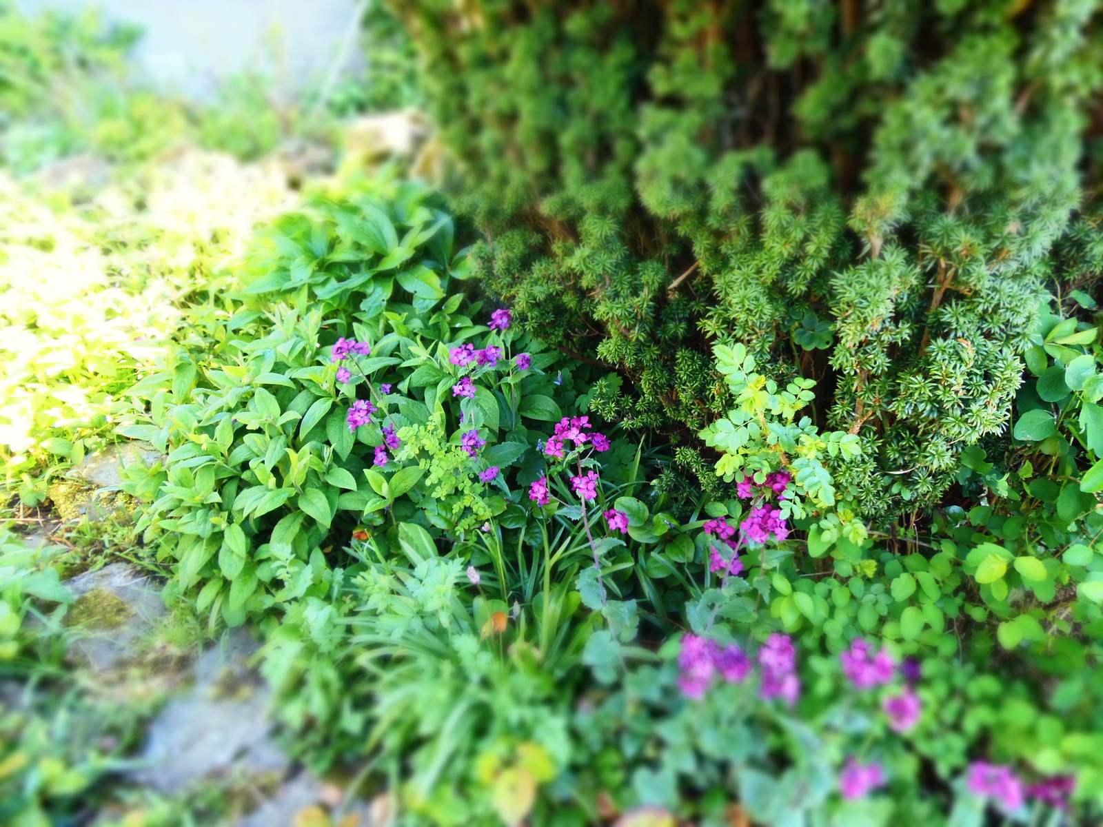 New camera test uploads