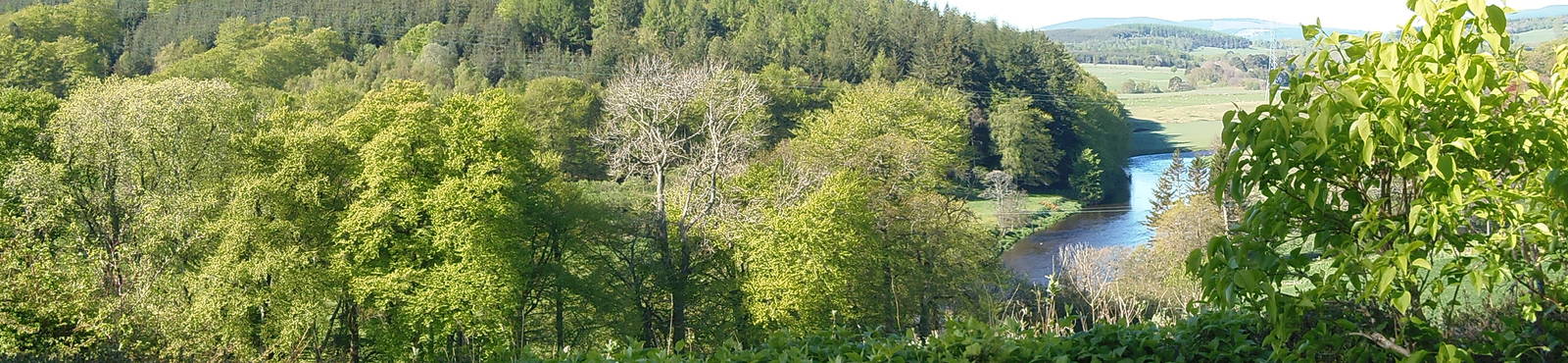 New camera test uploads