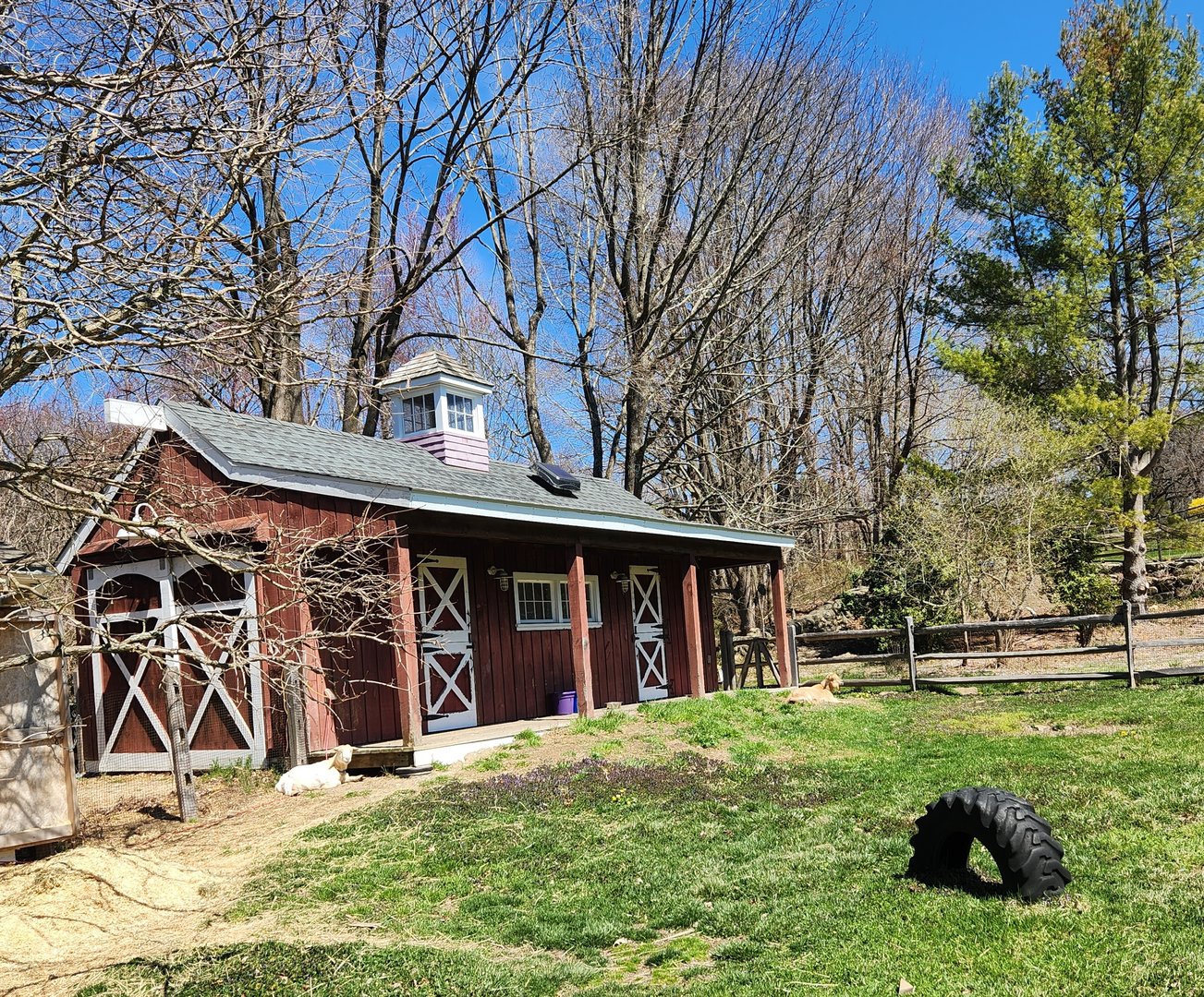 New Canaan Nature Center - Goat petting exhibit + barn