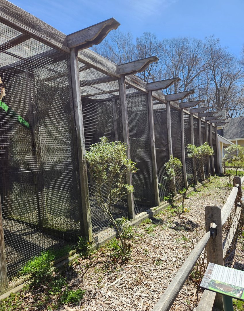 New Canaan Nature Center - Raptor aviary row
