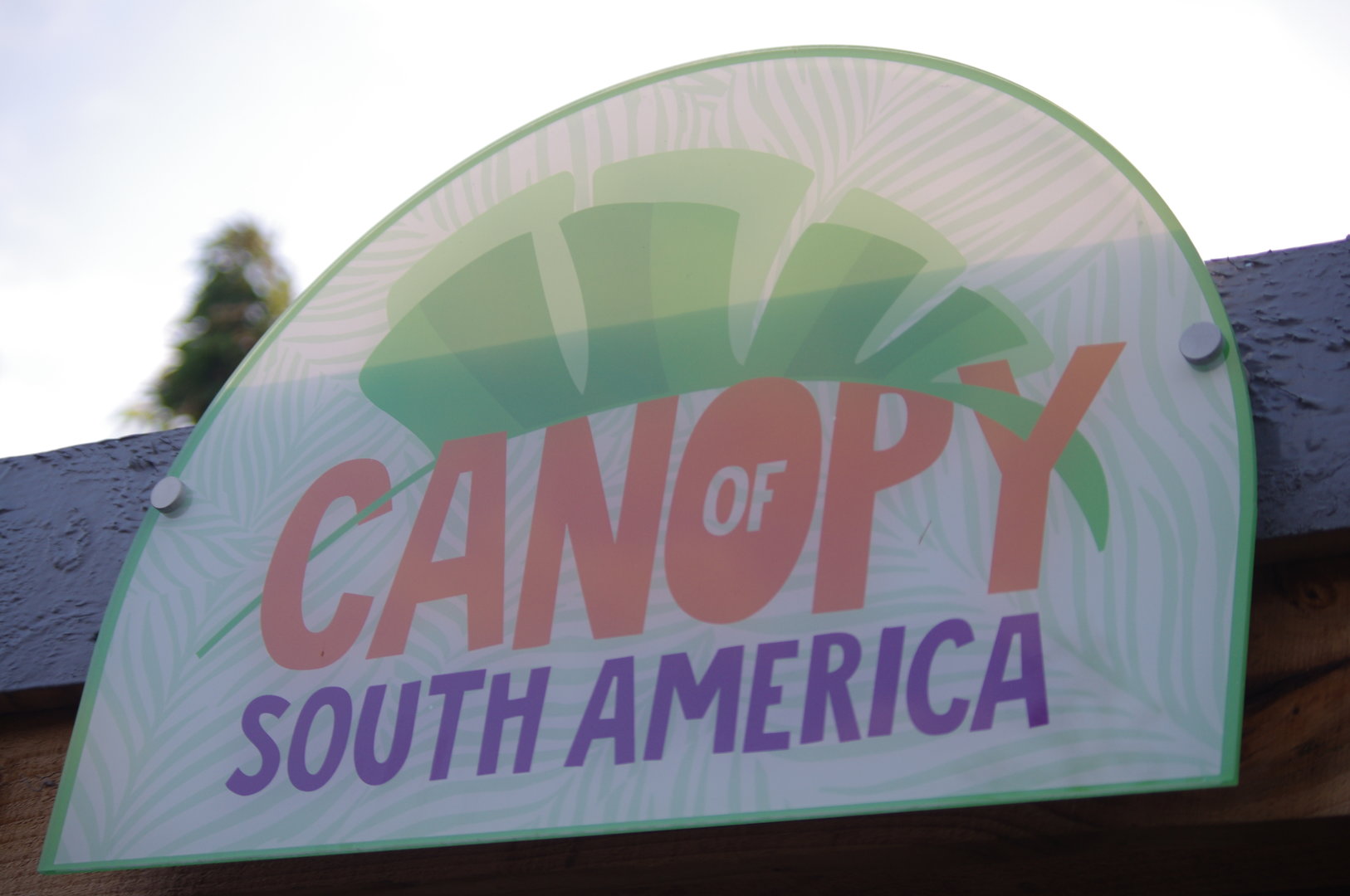 New Canopy of South America signage- 2/6/2023
