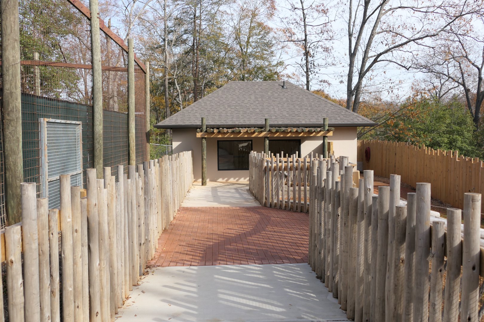 New Cape Porcupine/Aldrabra Tortoise Exhibit
