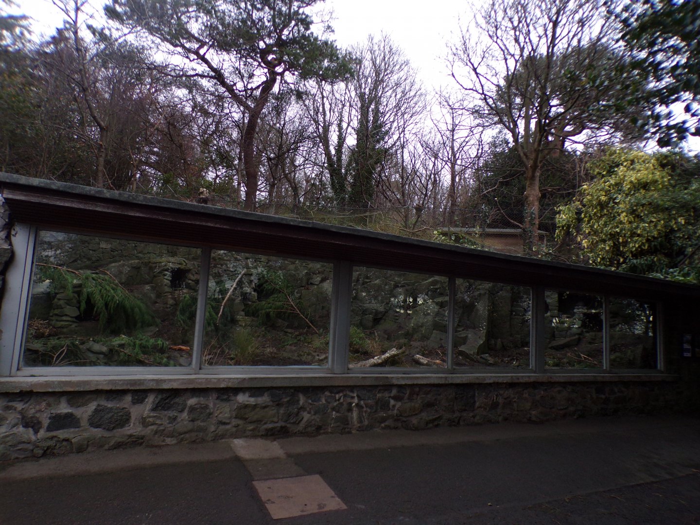 New cape porcupine enclosure 27.12.24