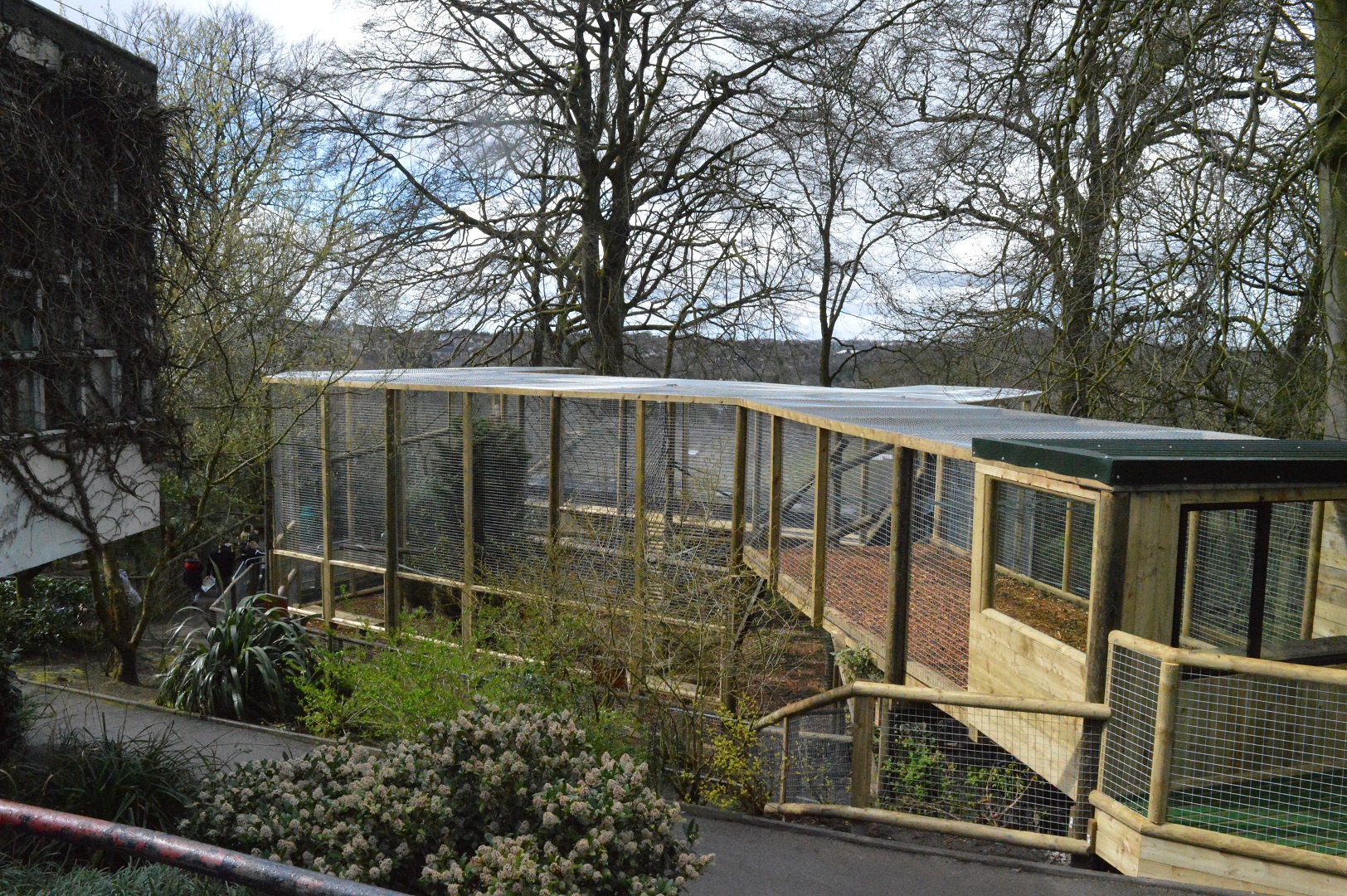 New capuchin enclosure