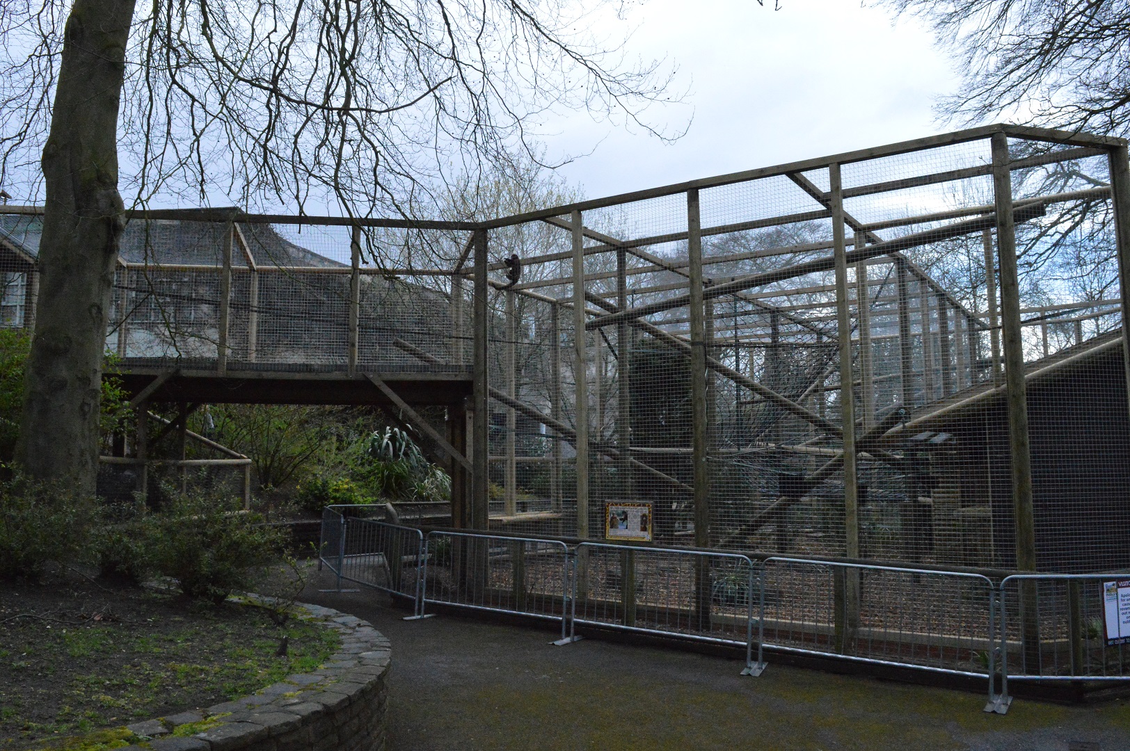 New capuchin enclosure