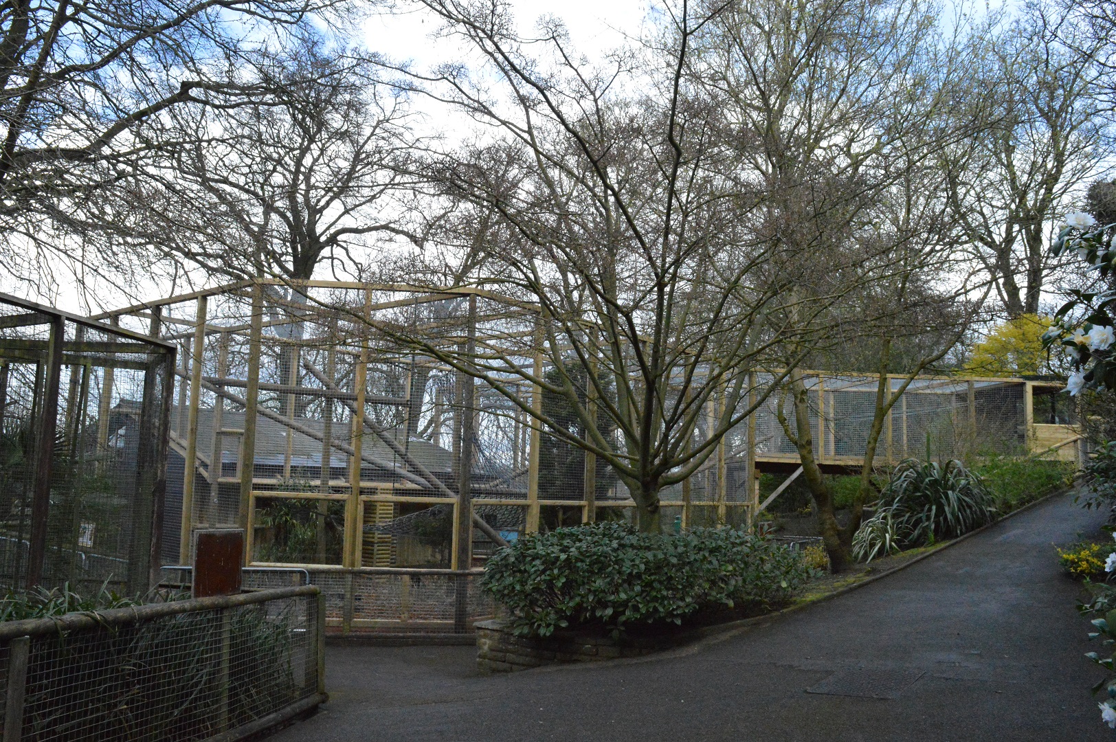 New capuchin enclosure