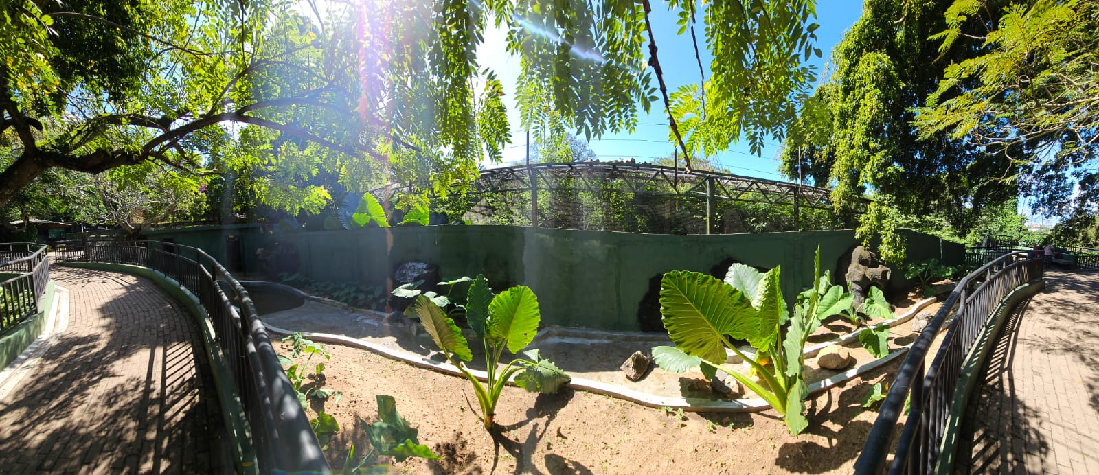 New Capybara enclosure