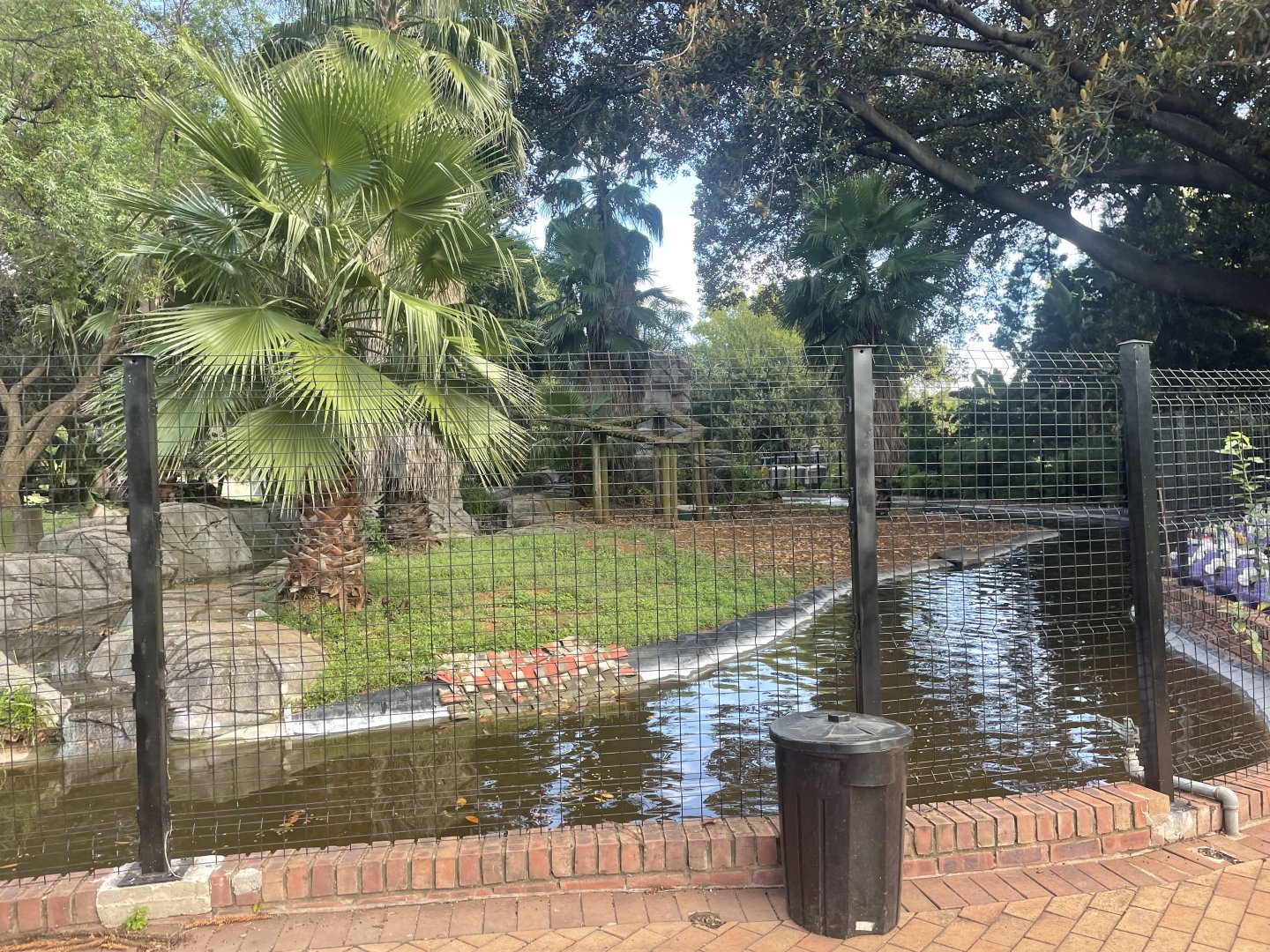 New Capybara Exhibit (Hydrochoerus hydrochaeris)
