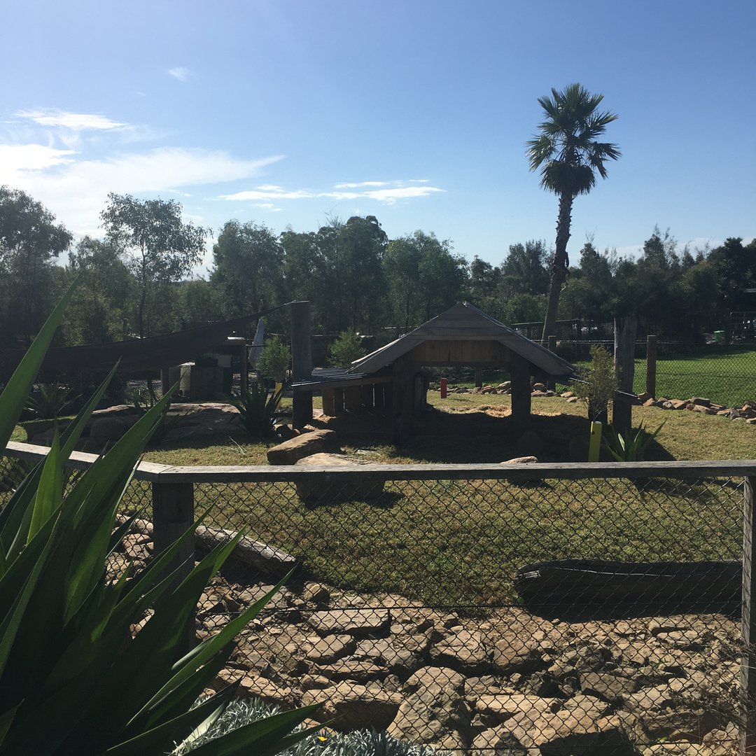 New Capybara exhibit
