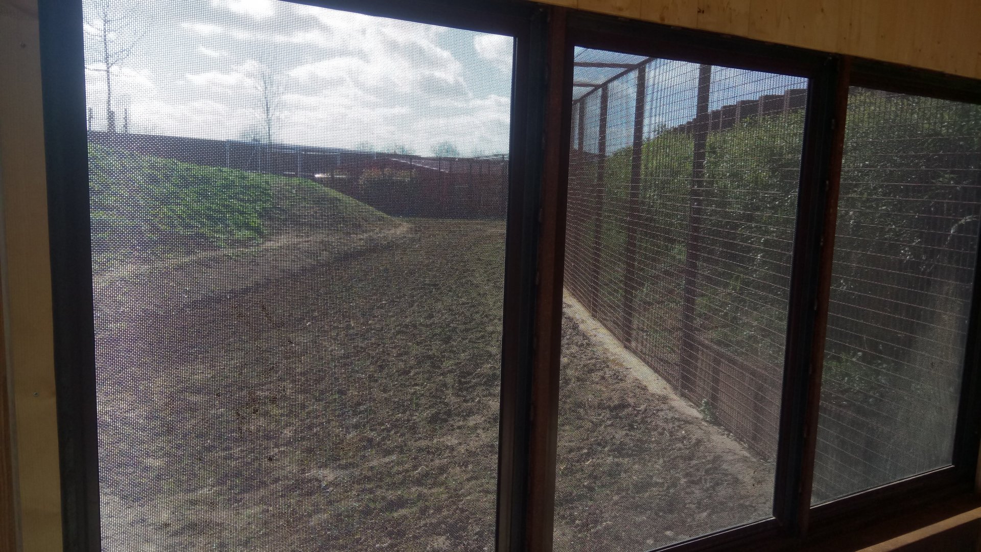 New carnivores carter - First observation hut