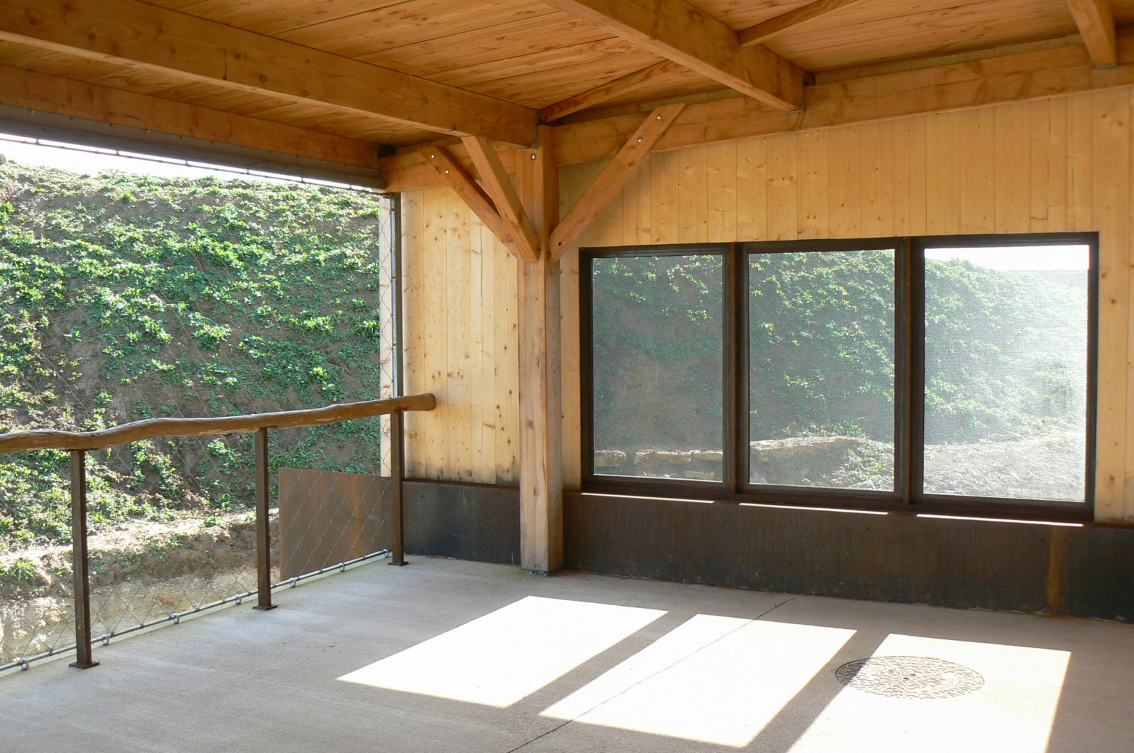 New carnivores carter - First observation hut