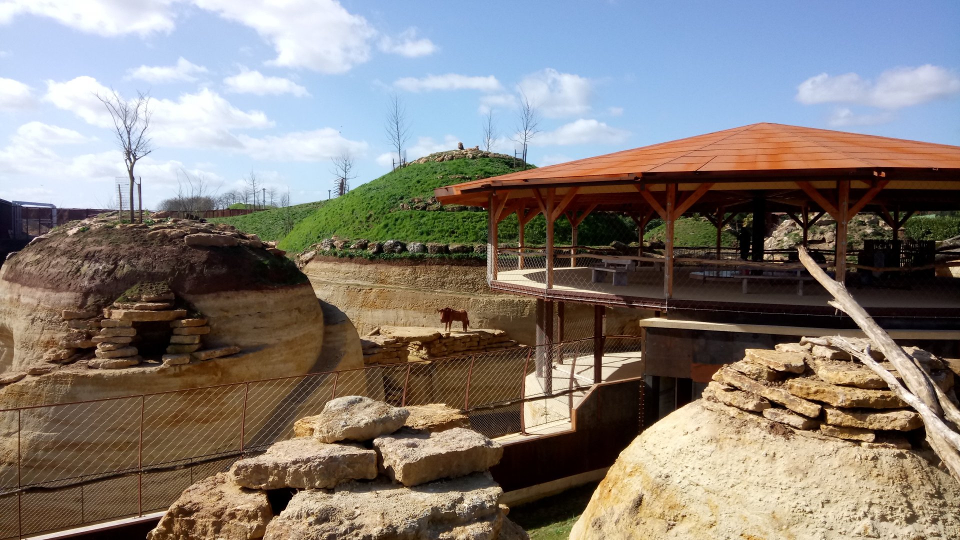 New carnivores crater - General view - See the lions ?