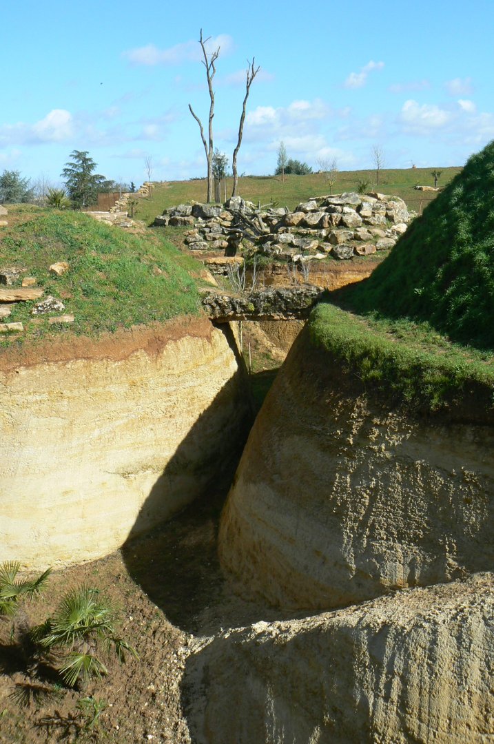 New carnivores crater - new african lion exhibit